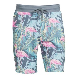 No Boundaries - Shorts Flamingo Palms 2XL